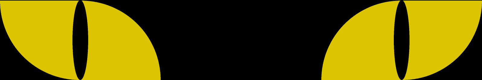Activity Image