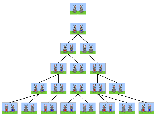 Kaninchenanzahl in Fibonaccis Modell